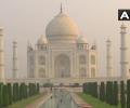 BJP MP says Taj Mahal land belongs to Jaipur royals