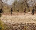 6 Maoists killed in encounter with Greyhounds in Andhra