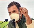 India's reputation has taken 'massive hit': Rahul farmers' stir
