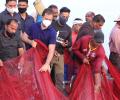 Rahul ventures into sea with Kerala fisherfolk