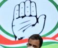 Just how much did Rahul donate to the Congress?