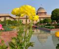 Buds are blooming at Rashtrapati Bhavan