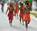 'Why Kanwar Yatra during Covid': SC to UP govt