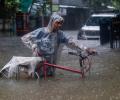 Rains pound Mumbai; 250 people shifted as Mithi river swells