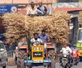 Farmers' income won't be doubled if...: Niti member