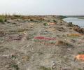 Corpses in Ganga: Cremations after dogs maul bodies