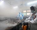 India's active Covid cases lowest in 196 days, recovery rate at 97.86%