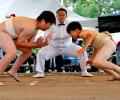 Seen Young Sumo Wrestlers Wrestle?