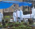 Kerala health dept on high alert after fresh Nipah outbreak