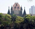 Bombay HC: Cannabis plant can't be considered 'ganja' if...