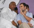 We will force Rahul Gandhi to become Cong chief: Kharge