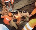 Even Tigers Need Rescuing...