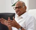 'Political suicide': Pawar amid NCP leaders joining BJP buzz