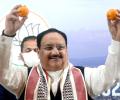 What's J P Nadda doing with oranges?