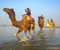 What are Camels Doing in the Ganga?