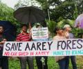 Aarey metro carshed threat to many species: Activists