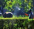 Daily COVID-19 cases in India lowest in 676 days