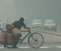 Delhi's anti-pollution curbs ineffective, 'little too late': Experts