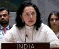 Not 'passive' on Russia-Ukraine war: India at UNSC