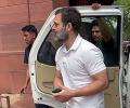 Rahul Gandhi to finally challenge his conviction in Surat court