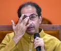 Don't show sympathy to BJP: Uddhav tells supporters