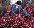 'Kanda Express' to bring 1,600 tonnes of onions to Delhi on Oct 20