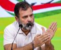 'Getting an ass to run a horse's race': Hardeep Puri slams Rahul