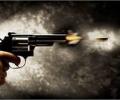 Bihar: 5-year-old takes gun to school, shoots student