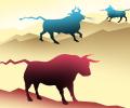 Bulls prowl D-Street; Sensex jumps 1,331 points