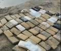 Over 500 kg cocaine worth Rs 5000 cr recovered in Gujarat