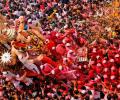 PIX: Mumbai bids farewell to Bappa as 10-day Ganesh festival ends