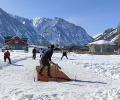 Ready To Play Cricket In The Snow?