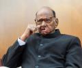 SC upholds EC order, says Sharad Pawar faction can use this name ....