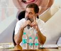 Wayanad or Rae Bareli: Rahul must decide within 2 weeks