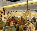 Turbulence-hit Singapore Airlines flight dropped 178 ft in 4.6 secs