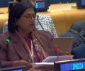 Minister's confession exposes Pak as rogue state: India at UN