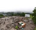 'Illegal felling of trees': SC takes note of landslides, floods