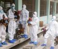 Alert in J'khand after bird flu case reported at poultry farm