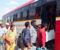 Language row: Maha, K'taka suspend bus services after attacks