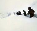 U'khand avalanche: 4 labourers die, 50 rescued; search for 5 on