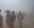 Probe panel to visit Kumbh stampede site on Friday; report in 1 month