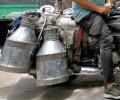 UP milkman detained for 'spitting' in milk before delivery