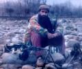 The Kashmiri Militant Who Killed 300 Terrorists
