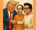 'Only Trump Can Unite Thackeray Brothers'