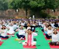 ASI to host yoga at 81 sites, Amit Shah to attend near Ahmedabad