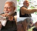 SEE: Modi feeds lion cub, catches snake at Anant Amabni's Vantara