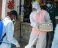 After Ranchi, bird flu outbreak reported in Bokaro; 250 birds dead