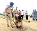 How India intercepted and shot down Pak's drones, UAVs