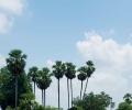 17 Naxal-hit villages get electricity for the first time