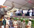 Why Is Karnataka Sending Elephants To AP?